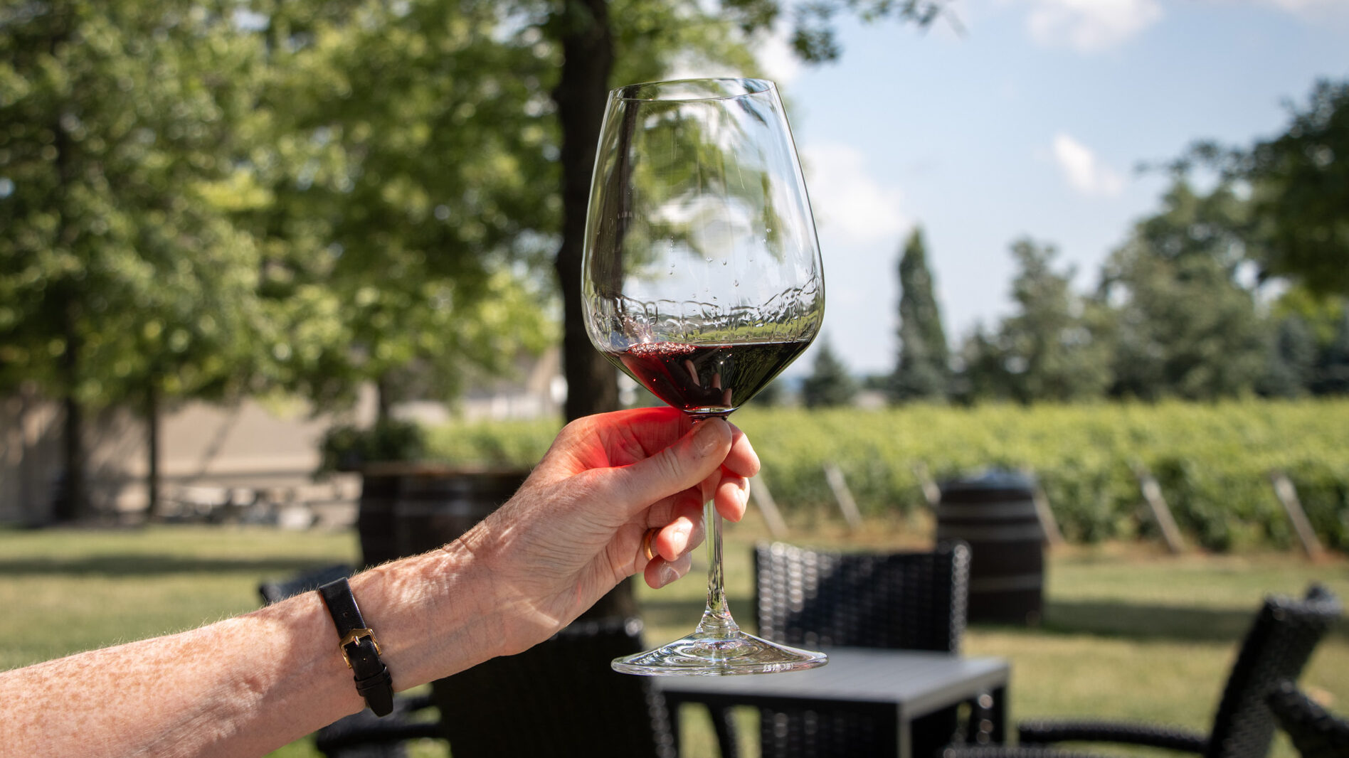 Two Sisters Winery | Krista the Explorer Glass of red wine held up in front of vineyard.