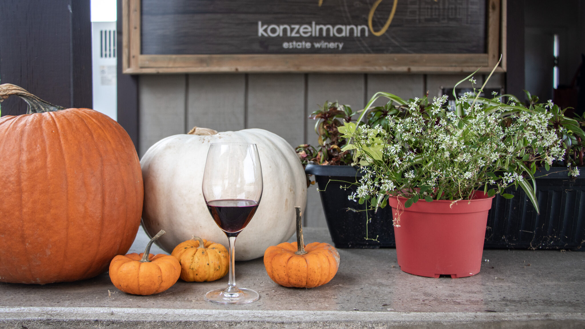 Konzelmann Winery | Krista the Explorer Best Niagara-on-the-Lake wineries tasting session.