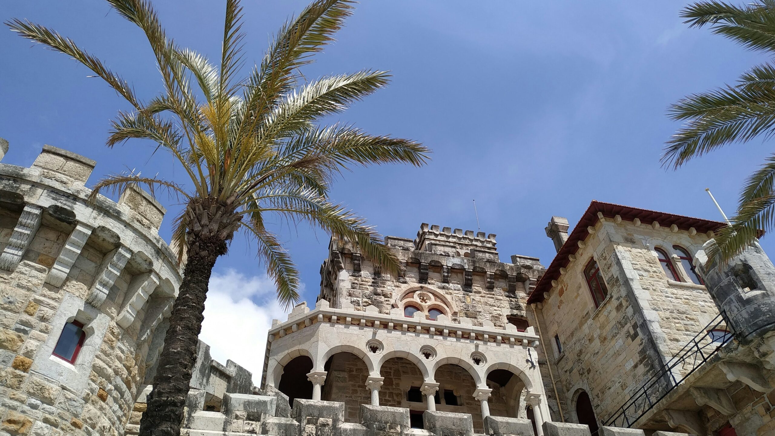 Remains of medieval castle next to palm trees.