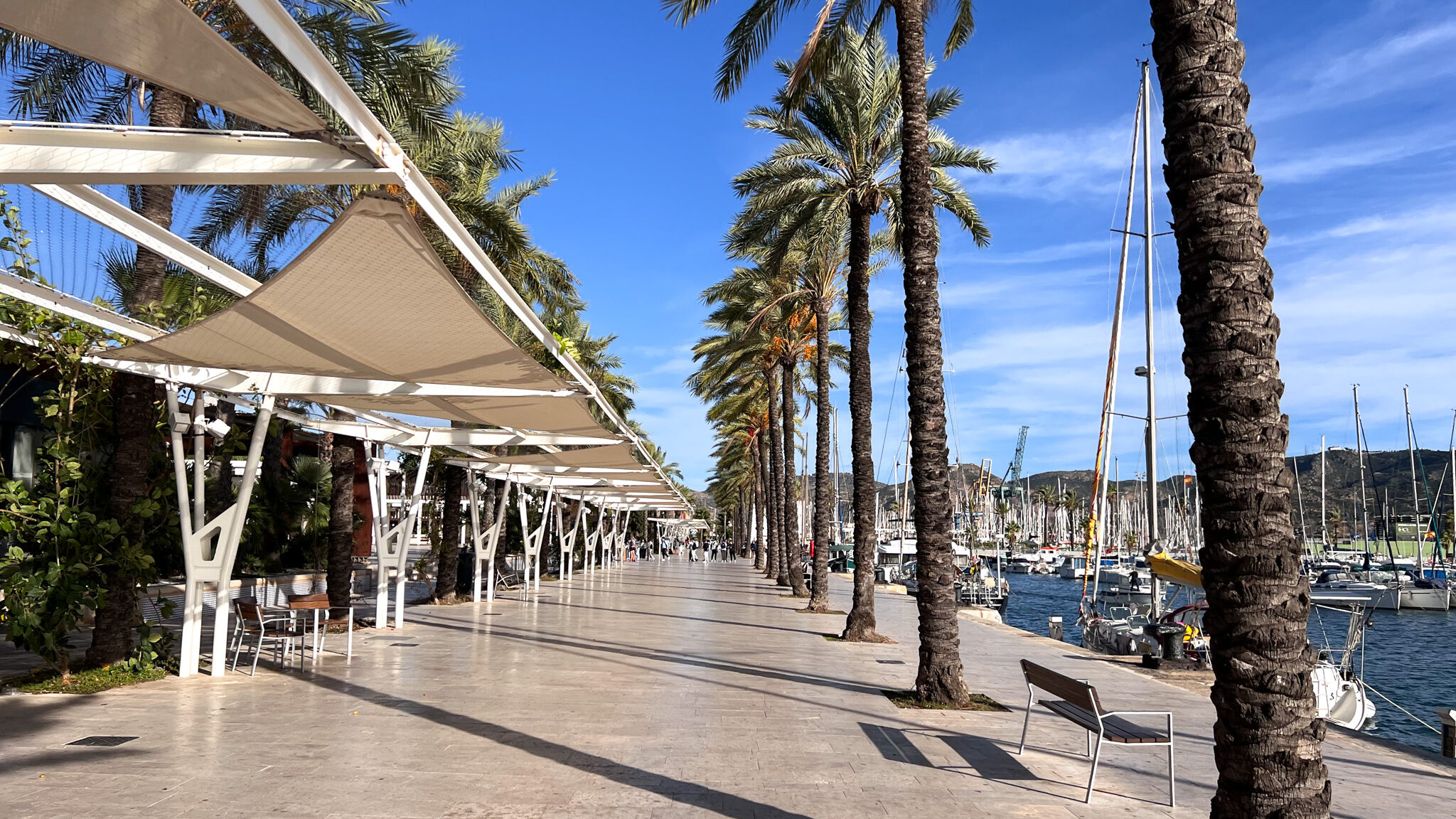 Puerto de Cartagena | Krista the Explorer Walkway next to the port lined with palm trees.
