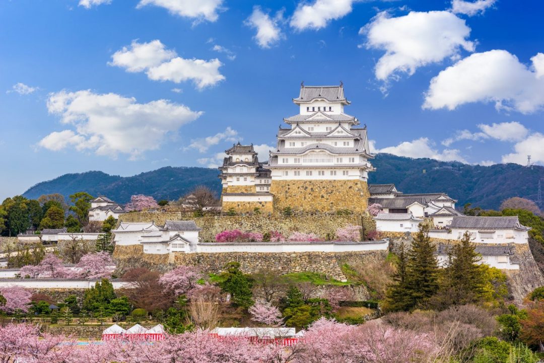 Himeji Castle atop stone walls with pink cherry blossoms in the foreground and a blue sky above.