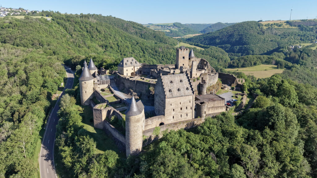 Aerial view of a medieval stone castle with towers and walls.
