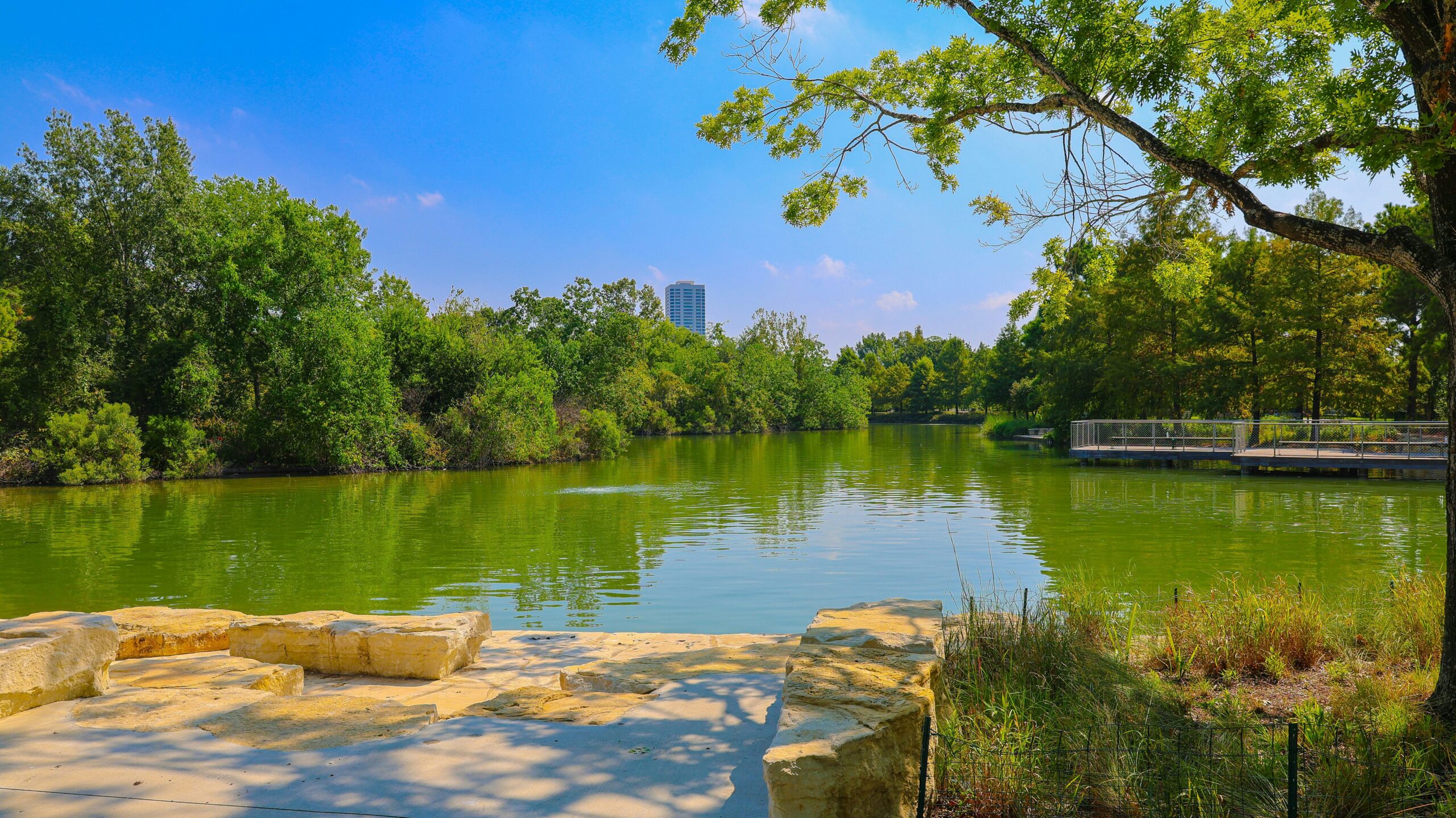Lake surrounded by trees in park in Houston.