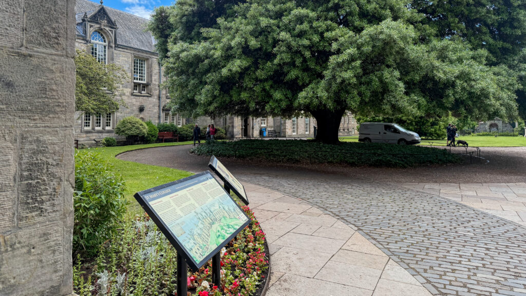 Path leading into historic courtyard with large tree.