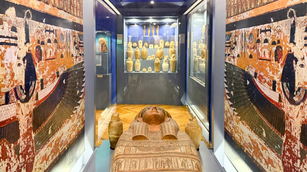 Museum display of multiple ancient Egyptian coffins arranged on shelves.