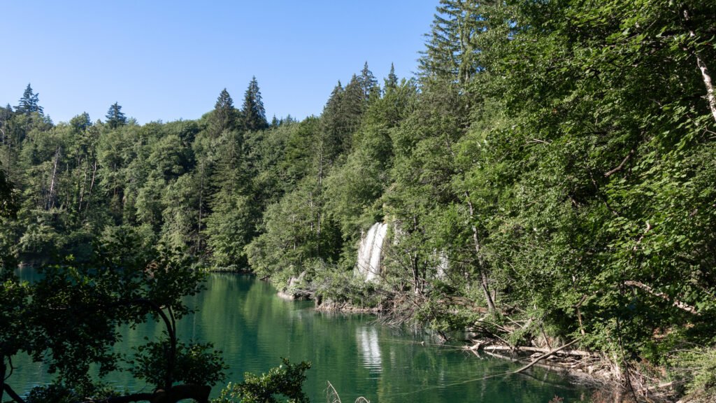 Plitvice Lakes | Krista the Explorer Dense forest along a calm green lake with a small waterfall.