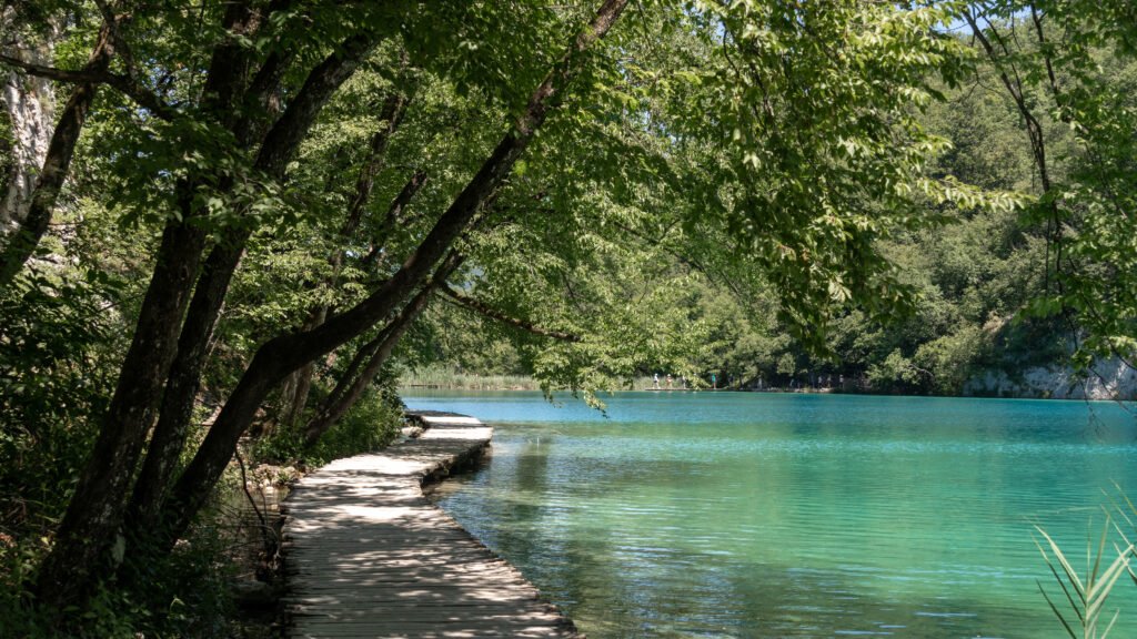 Plitvice Lakes | Krista the Explorer Wooden boardwalk along a turquoise lake, shaded by overhanging green trees.