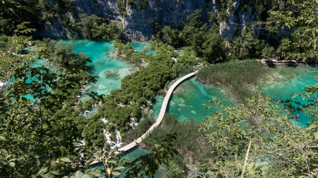 Wooden boardwalk winding through a turquoise river canyon surrounded by trees.