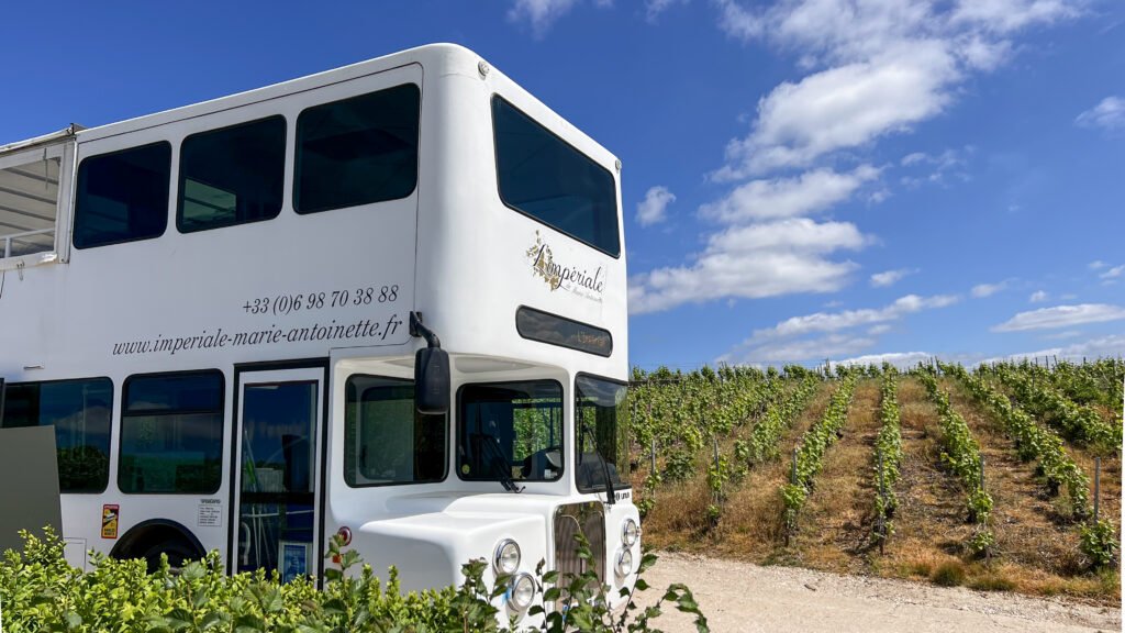 Epernay Reims | Krista the Explorer White double-decker bus with dark windows parked beside a vineyard.